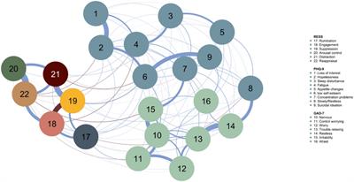 A network approach to emotion regulation and symptom activation in depression and anxiety